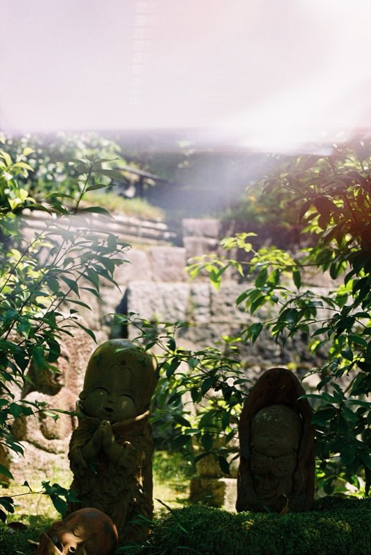 Small stone figures among leaves and moss in raking sunlight.